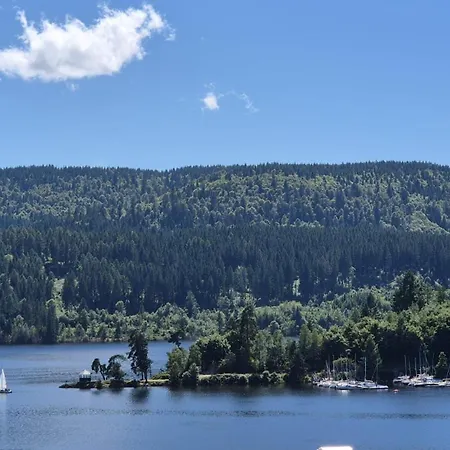 Schwarzwaldnest Am * Schluchsee