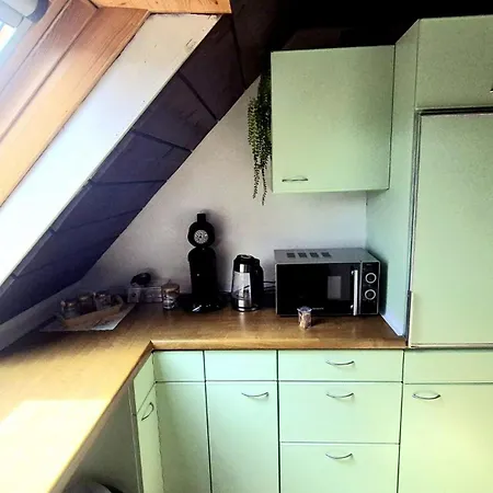 Chalet Schluchsee Ferienwohnung Schluchsee