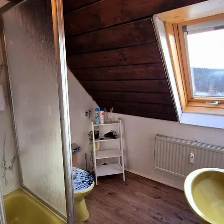 Schwarzwaldnest Am See Schluchsee